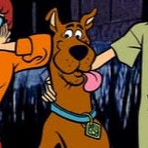 Meet your Posher, Libby